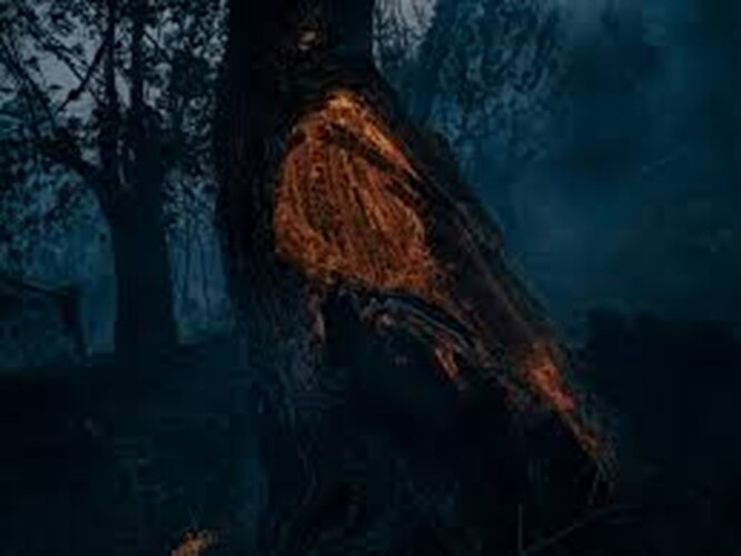 Courel's landscape after the wildfires o 2022. Photopgrapher: Adra Pallón