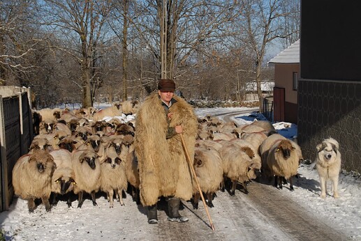Ohaba-Sibisel-village-Maria-Cretescu-scaled
