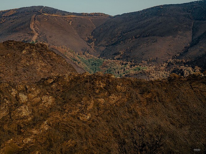 Courel's landscape after the wildfires o 2022. Photopgrapher: Adra Pallón
