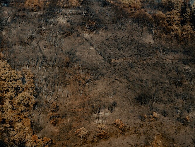 Courel's landscape after the wildfires o 2022. Photopgrapher: Adra Pallón666x500